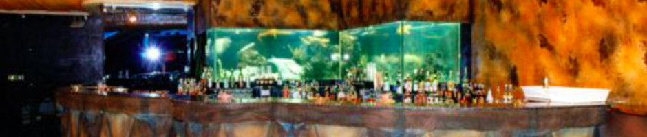 Bar del Cocoricò con acquario